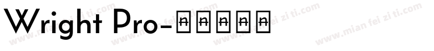 Wright Pro字体转换